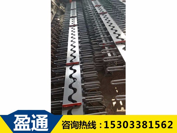 SSF橋梁伸縮裝置