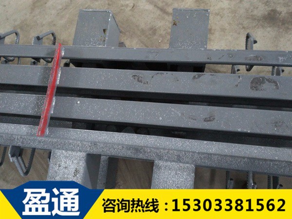 天津模數(shù)式橋梁伸縮縫-MZL-240