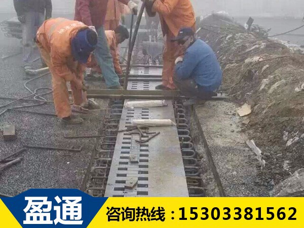 SF梳齒板式橋梁伸縮縫