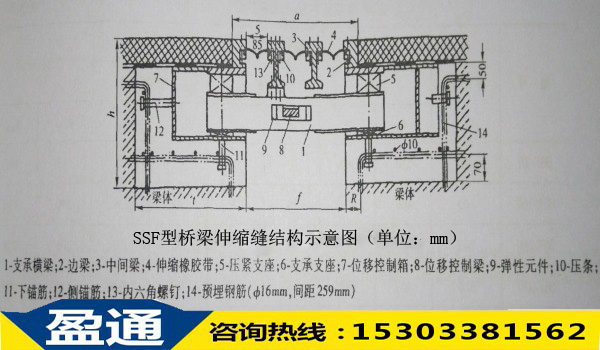 SSF型橋梁伸縮縫結(jié)構(gòu)示意圖