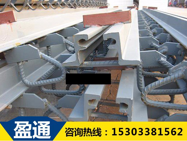 橋梁伸縮縫 橋梁伸縮縫