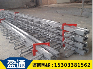 橋梁伸縮縫 橋梁伸縮縫