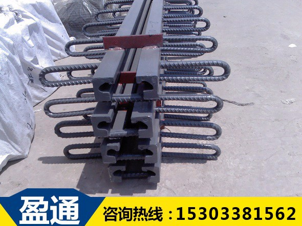 橋梁伸縮縫 橋梁伸縮縫