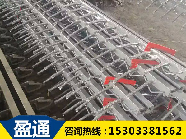 橋梁伸縮縫 橋梁伸縮縫